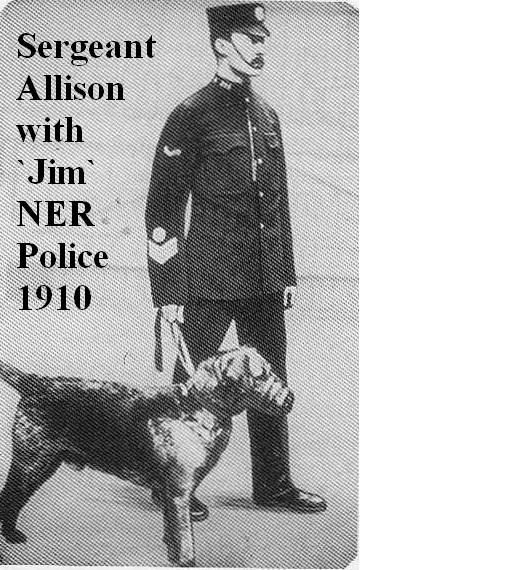 Police Dogs – then and now – Behind the 
